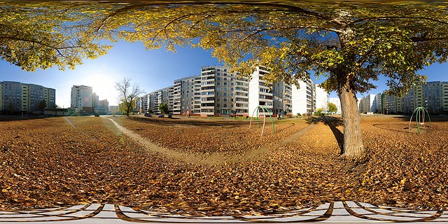 осеннее одинокое дерово