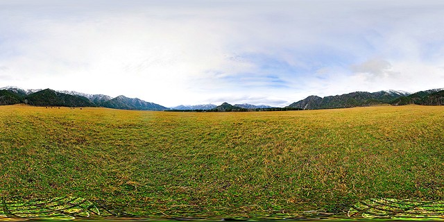 горный алтай чемал катунь кони горный алтай чемал катунь кони