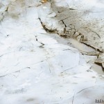 гонки внедорожников корпорация монстров 4 ноября 2009