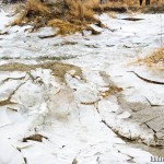 гонки внедорожников корпорация монстров 4 ноября 2009