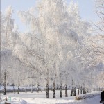 Barnaul winter photo