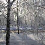 Barnaul winter photo