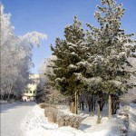 Barnaul winter photo