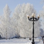 Barnaul winter photo