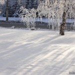 Barnaul winter photo