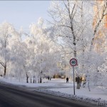Barnaul winter photo
