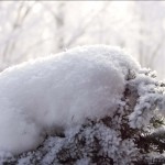 Barnaul winter photo