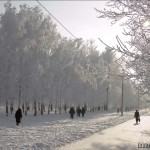 Barnaul winter photo