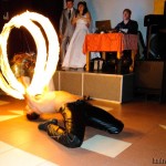 файр шоу fire show 