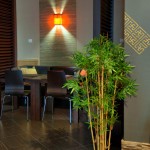 интерьер ресторана мандарин HDR