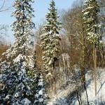 Gorki Leninskie winter photo