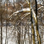 Gorki Leninskie winter photo