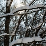 Gorki Leninskie winter photo