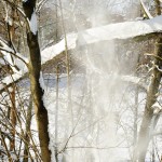 Gorki Leninskie winter photo