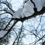 Gorki Leninskie winter photo