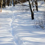 Gorki Leninskie winter photo