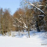 Gorki Leninskie winter photo