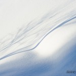 snow and shadows тени на снегу