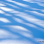 snow and shadows тени на снегу