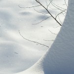 Gorki Leninskie winter photo