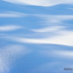 snow and shadows тени на снегу