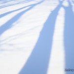 snow and shadows тени на снегу