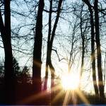 Gorki Leninskie winter photo