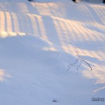 snow and shadows тени на снегу