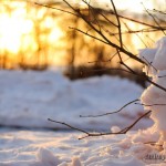 Gorki Leninskie winter photo