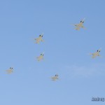 парад победы 2010