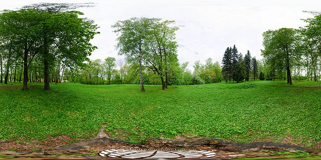сферическая панорама на пеньке