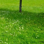 Усадьба Джаз 2010