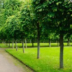 Усадьба Джаз 2010