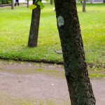 Усадьба Джаз 2010