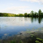 Усадьба Джаз 2010