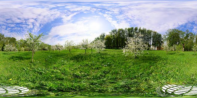 photo panorama of a blossoming apple orchard