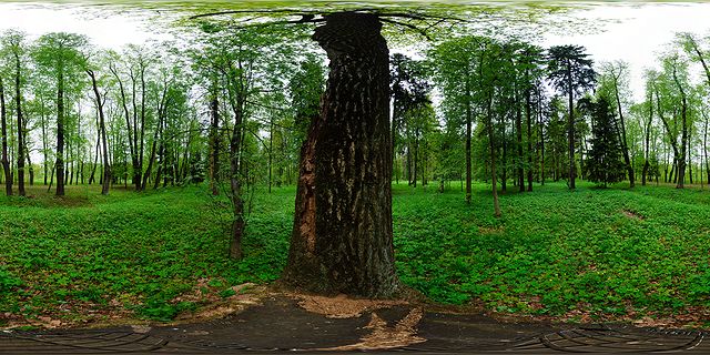 panoramic photo on stomp