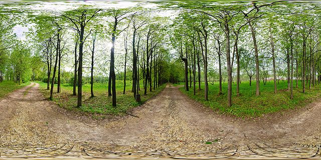Gorki Leninskie Nature Reserve photo in an alley