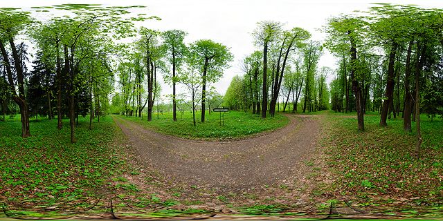 заповедник горки ленинские фото аллея