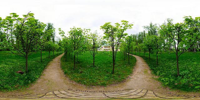 заповедник Горки Ленинские фото в аллее в лесу на природе панорама