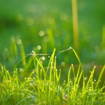 москва осенние фото