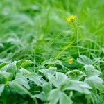 москва осенние фото