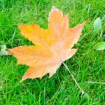 москва осенние фото