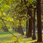 москва осенние фото