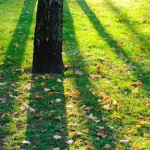 москва осенние фото