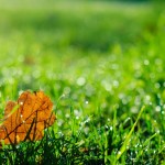 москва осенние фото