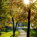 москва осенние фото