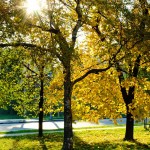 москва осенние фото