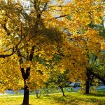 москва осенние фото