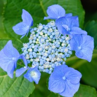 Tokina ATX-Pro 100\2.8 (28)